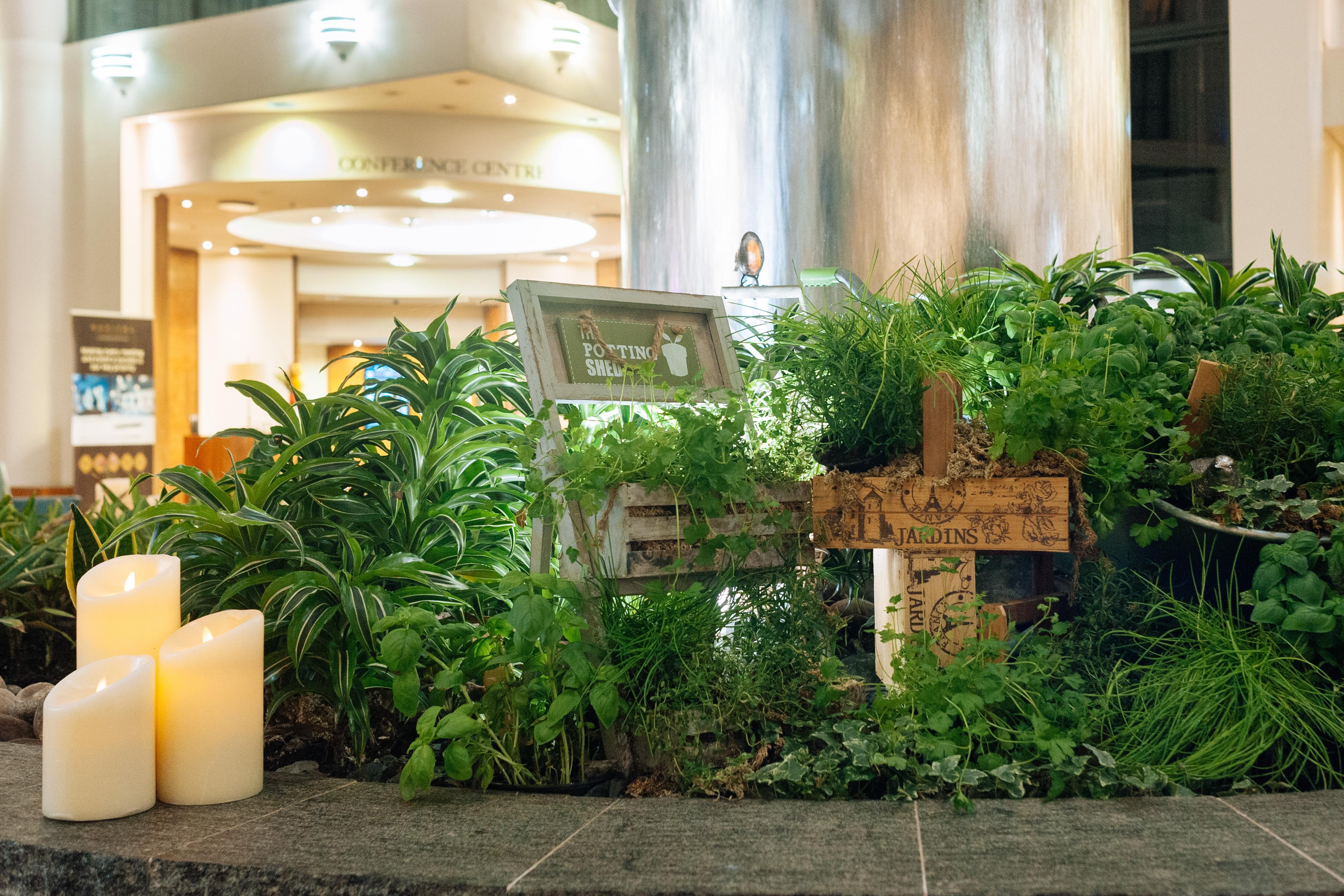 โซฟิเทลลอนดอนแกทวิคโฮเต็ล Hotel ฮอร์เลย์ ภายนอก รูปภาพ The garden at the hotel